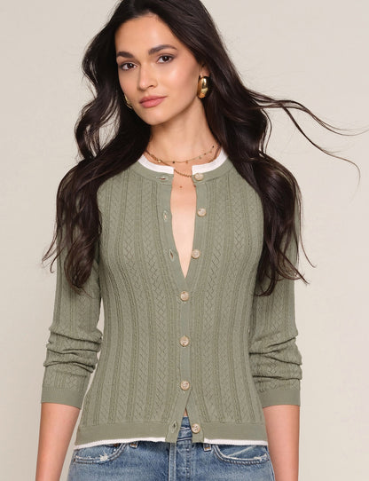 tommy cardi