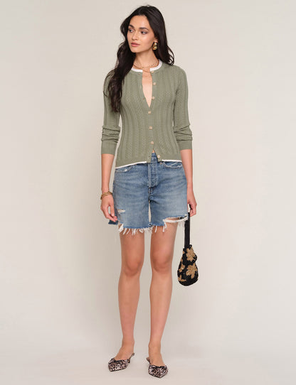 tommy cardi