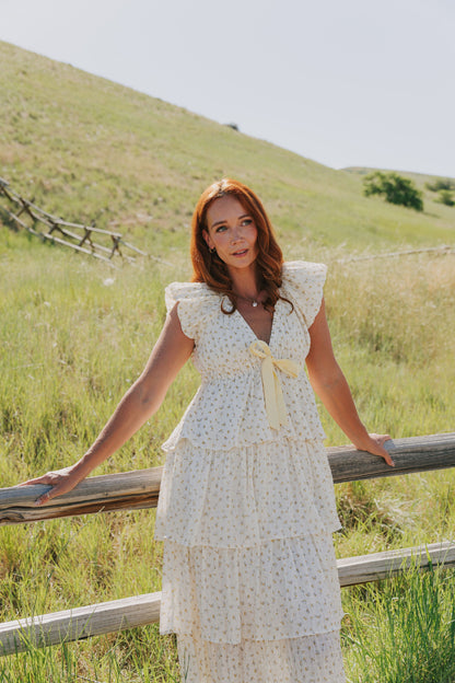 Softly Spoken Dress