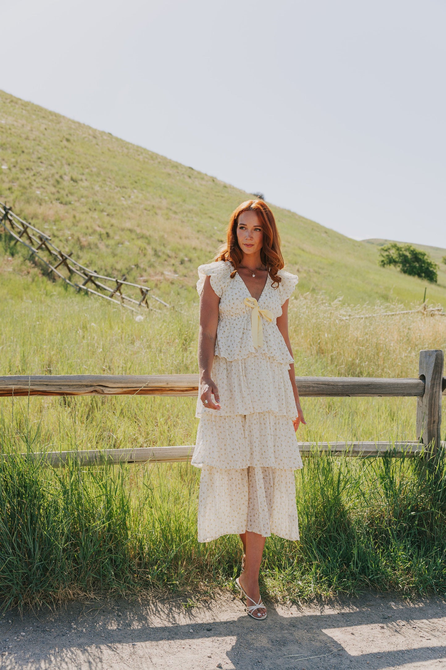 Softly Spoken Dress